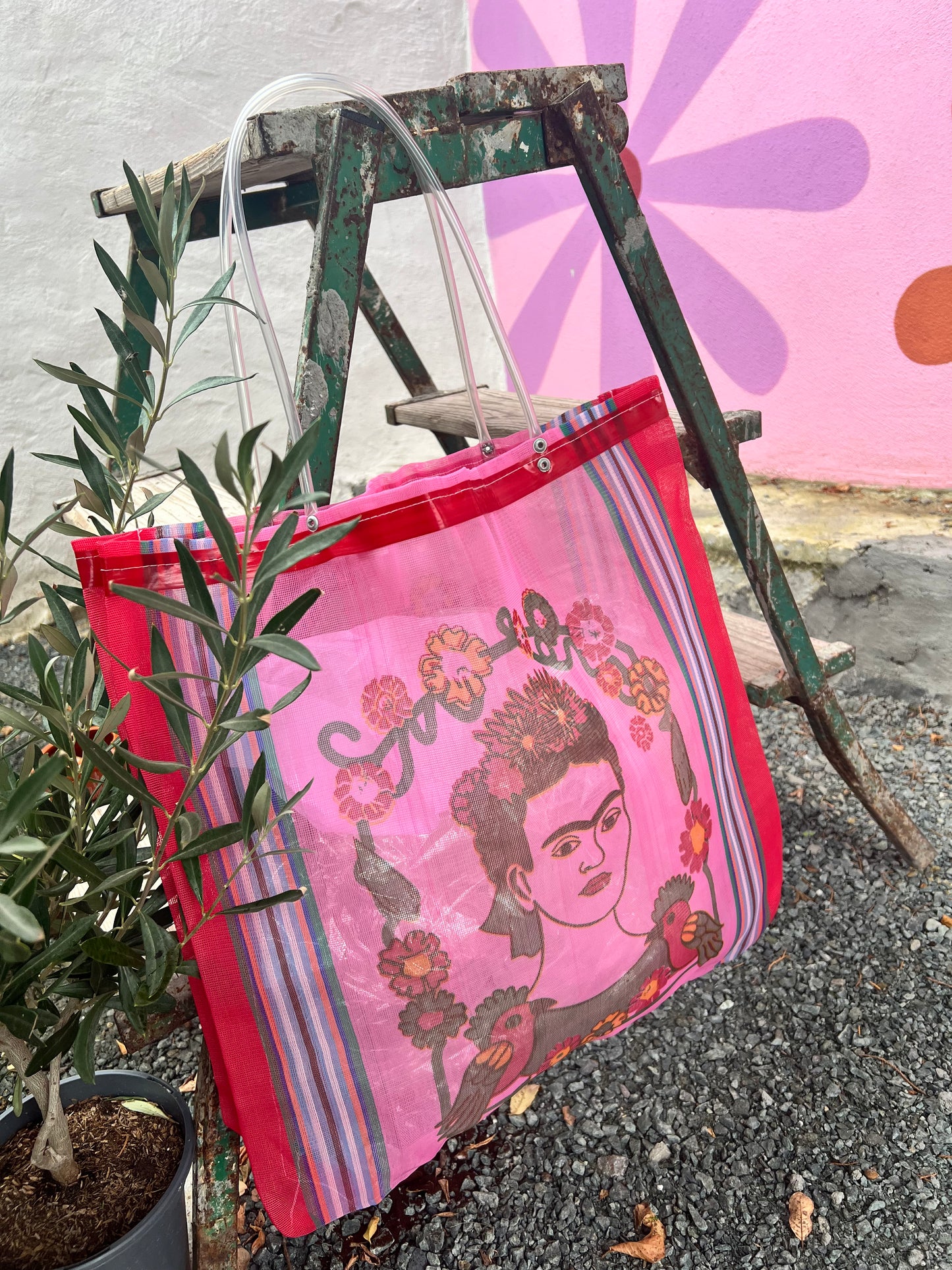 Cabas Market of Mexico - Frida corail