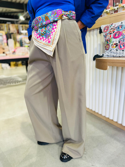 Pantalon à pinces Milly - Taupe